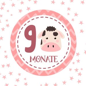 Bio-Jersey MONATS- Panel, 9 Monate, Mädchen