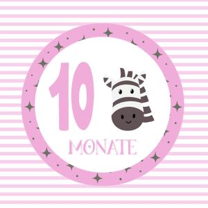 Bio-Jersey MONATS- Panel, 10 Monate, Mädchen, by BioBox