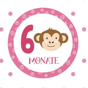 *SET* Bio-Jersey MONATS- Panel 1-12 Monate, Mädchen