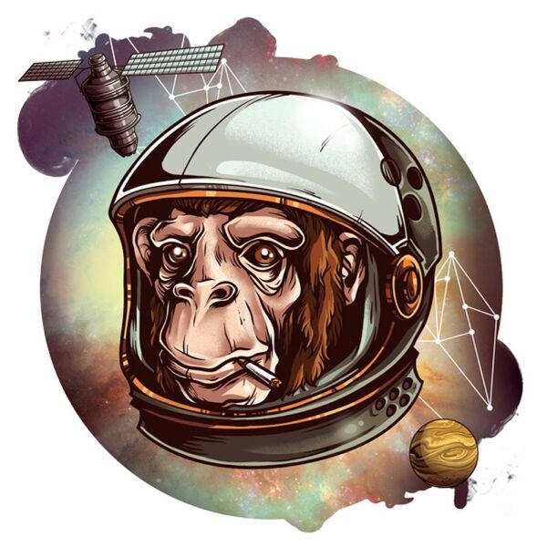 Bio-Jersey, XL-Panel, Space Monkey, by BioBox