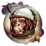 Bio-Jersey, XL-Panel, Space Monkey