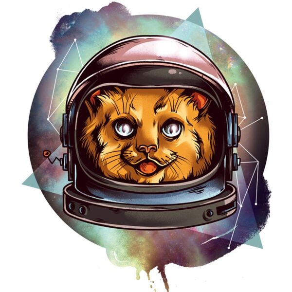 Bio-Jersey, XL-Panel, Space Cat, by BioBox