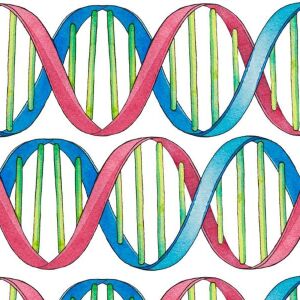 Bio-Jersey, DNA Doppelhelix, Kleiner Einstein