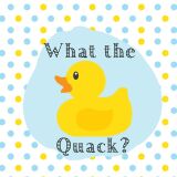 Bio-Jersey, What the Quack Panel, Quietschie