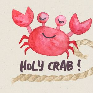 Bio-Jersey, Holy Crab Panel, Meer geht immer, by BioBox