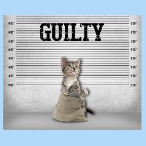 Bio-Jersey, POLIZEI, XL Panel guilty Geldsack Katze, by...