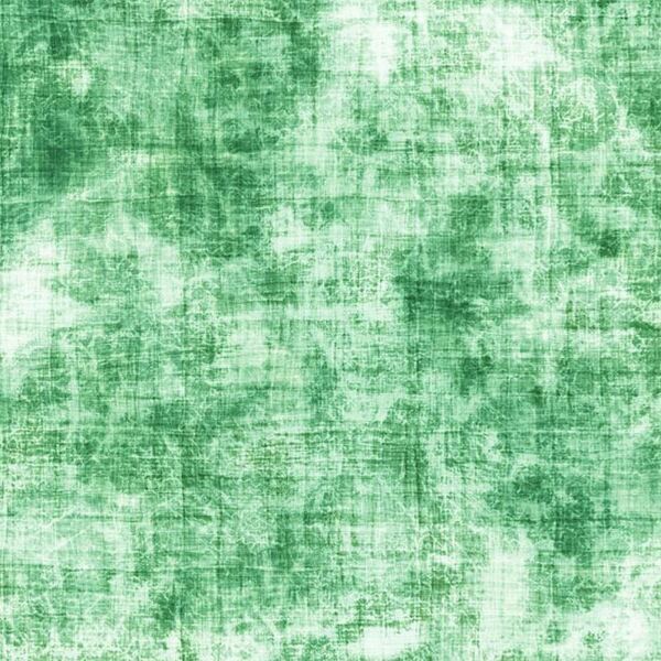 Bio-Sommersweat, used denim style, grün, Jeanslook