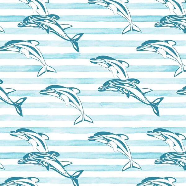 Bio-Jersey, Delfin stripes, DelfinLiebe, Bio-Box