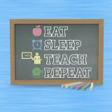 Bio-Jersey, XL Panel - eat sleep teach repeat, Lehrerin und Lehrer