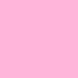 Bio-Jersey uni-Kombi helles pink, Hundefreunde, by BioBox