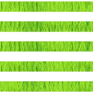 Bio-Jersey Fußball Gras-stripes