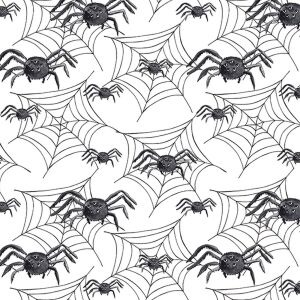 Bio-Sommersweat Spinnen, happy halloween by BioBox