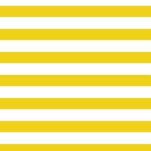 Bio-Jersey, Basic Streifen, gelb