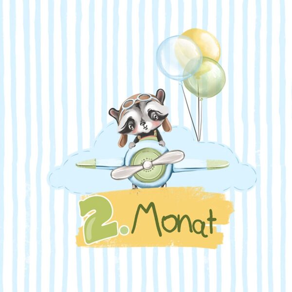 Bio-Jersey MONATS- Panel, 2 Monat, Cute Animals