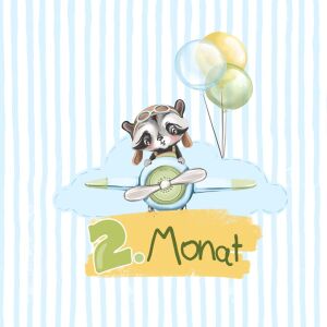 Bio-Jersey MONATS- Panel, 2 Monat, Cute Animals by BioBox