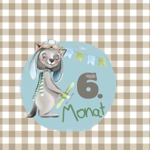 Bio-Jersey MONATS- Panel, 6 Monat, Jungen, Cute Animals,...