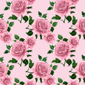 Bio-Jersey, Love Rose, rosa, by BioBox