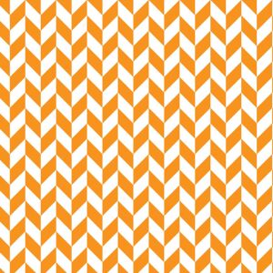 Canvas, Fischgräten-Muster, orange
