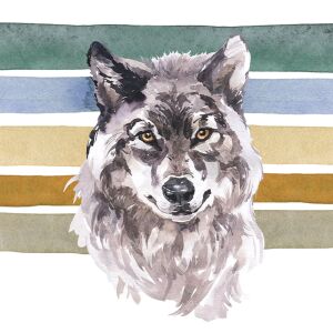 Bio-Sommersweat, Wolf Panel, rainbow animals