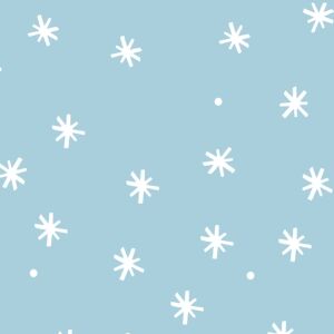 Schneeflocken, BIO-Jersey, Weihnachten