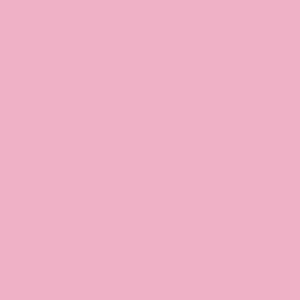 Bio-Jersey, unicorns & flowers, uni pink, by BioBox