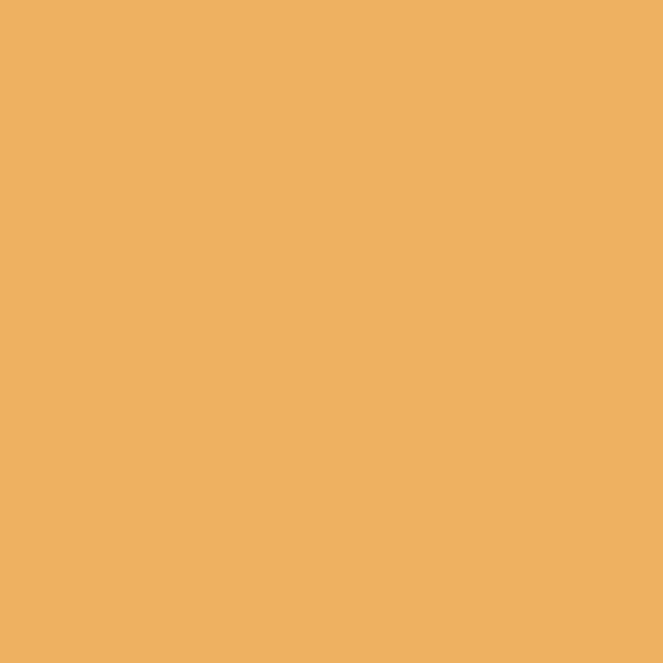 Baumwolle, Uni Orange Kombi zu XL Patchwork, hochwertige Popeline