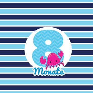 *SET* Bio-Jersey MONATS- Panel 1-12 Monate, Wal mädchen