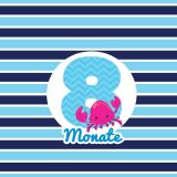 *SET* Bio-Jersey MONATS- Panel 1-12 Monate, Wal mädchen