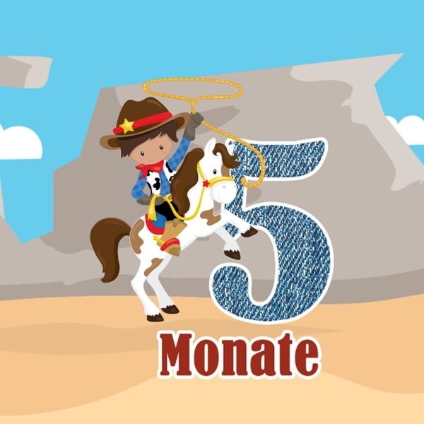 *SET* Bio-Jersey MONATS- Panel 1-12 Monate, Cowboy