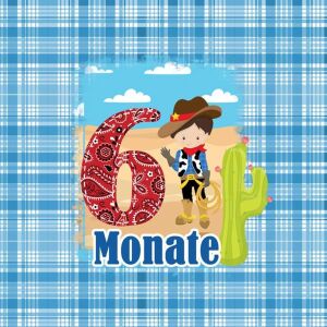*SET* Bio-Jersey MONATS- Panel 1-12 Monate, Cowboy