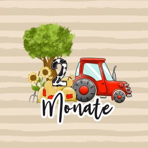 *SET* Bio-Jersey MONATS- Panel 1-12 Monate, Auf dem Bauernhof