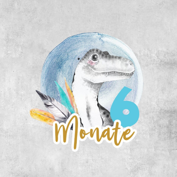 *SET* Bio-Jersey MONATS- Panel 1-12 Monate, Dino