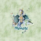 *SET* Bio-Jersey MONATS- Panel 1-12 Monate, Once upon a time