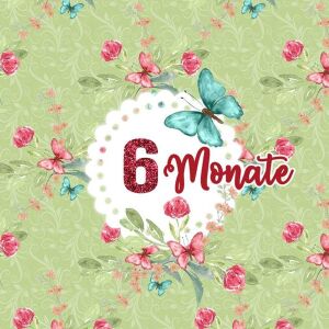 *SET* Bio-Jersey MONATS- Panel 1-12 Monate, Schmetterlinge