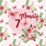 *SET* Bio-Jersey MONATS- Panel 1-12 Monate, Schmetterlinge