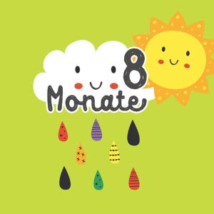 *SET* Bio-Jersey MONATS- Panel 1-12 Monate, Regenbogen