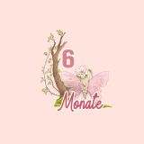 *SET* Bio-Jersey MONATS- Panel 1-12 Monate, Fee