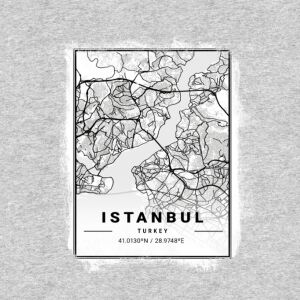 Bio-Jersey XXL Panel + Kombistoff City Trip Istanbul, 2 in 1 Grau