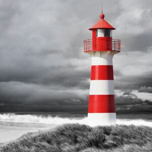 Bio-Jersey XL Panel + Kombistoff Stormy Sea, Leuchtturm,...