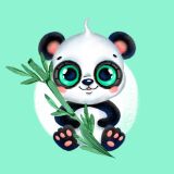Bio-Jersey Panel + Kombistoff, Kleine Glotzies, Panda