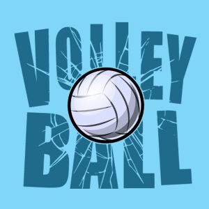 Bio-Jersey, PANEL + Kombistoff, Sports, Volleyball