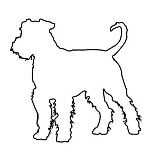 Hunderasse "Airedale Terrier"