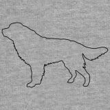 Hunderasse "Berner Sennenhund"