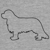 Hunderassen (Dogs) Cavalier King Charles Spaniel