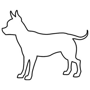 Hunderassen (Dogs) Chihuahua