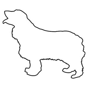 Hunderassen (Dogs) Cocker Spaniel