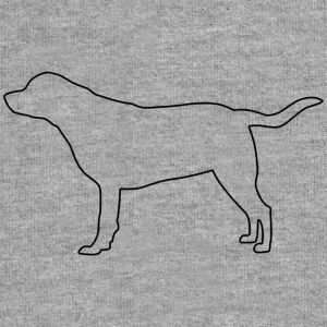 Hunderassen (Dogs) Labrador