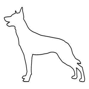 Hunderassen (Dogs) Malinois