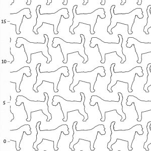 Hunderassen (Dogs) Russel Terrier