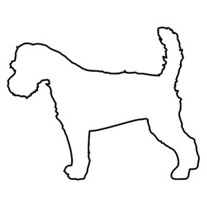 Hunderassen (Dogs) Russel Terrier